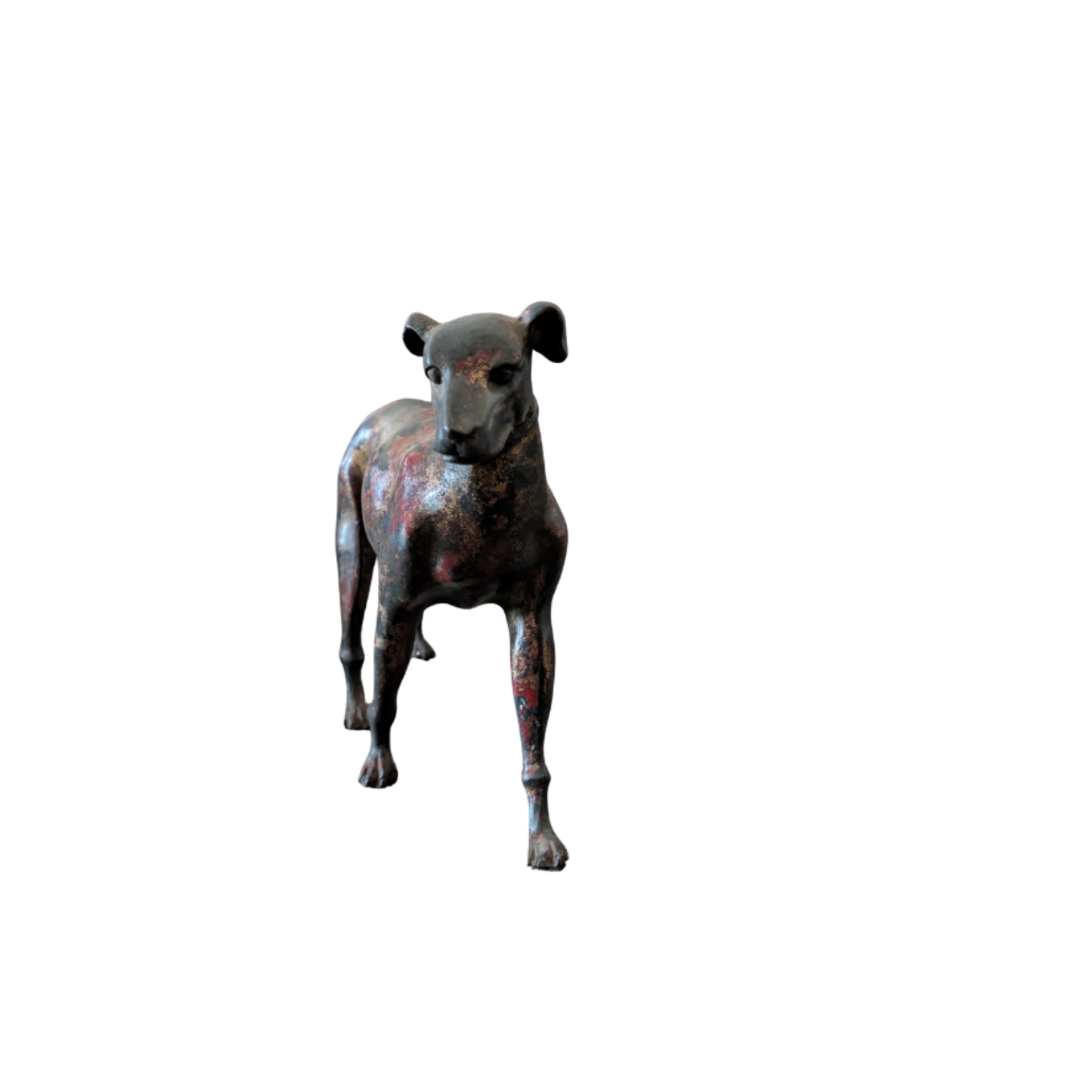 Dog standing on a white background