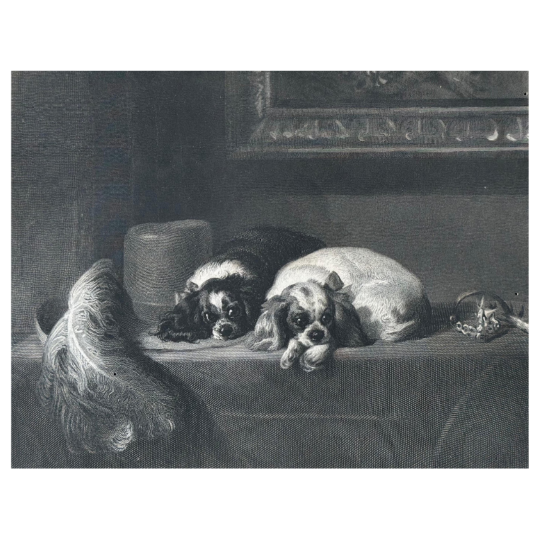 The Cavalier's Pets (Engraving, Unframed)