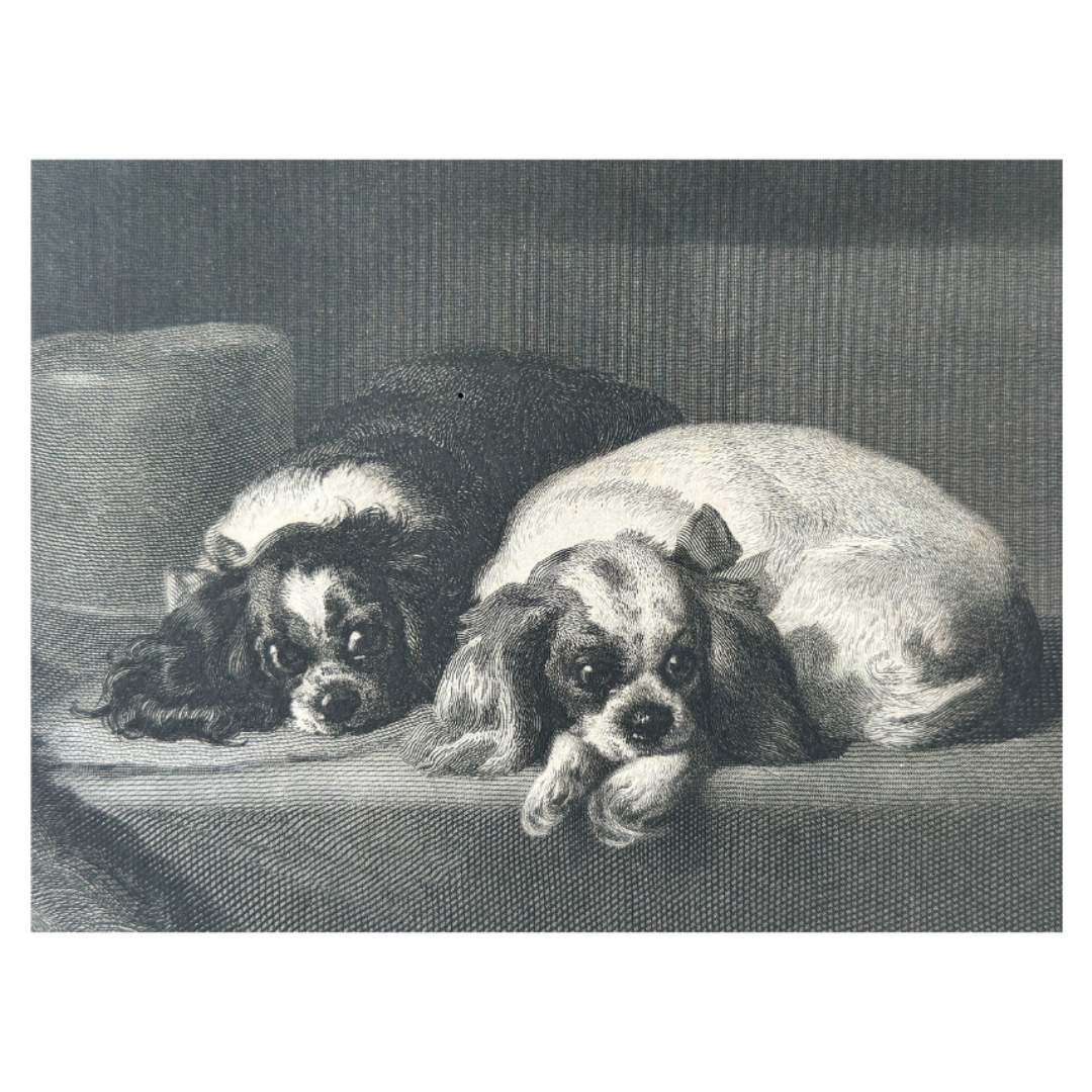 The Cavalier's Pets (Engraving, Unframed)