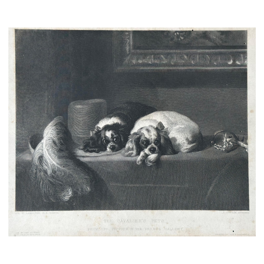 The Cavalier's Pets (Engraving, Unframed)